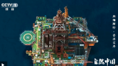 国之重器不断潜呀潜呀潜 45层楼高的它可钻入海底一万米