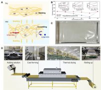 道路“癌症”膨胀土变身电池关键材料“耗材”